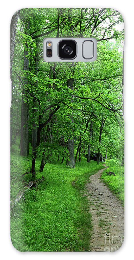 Forest Trail Galaxy Case featuring the photograph Forest Trail in Patapsco Valley State Park by James Brunker