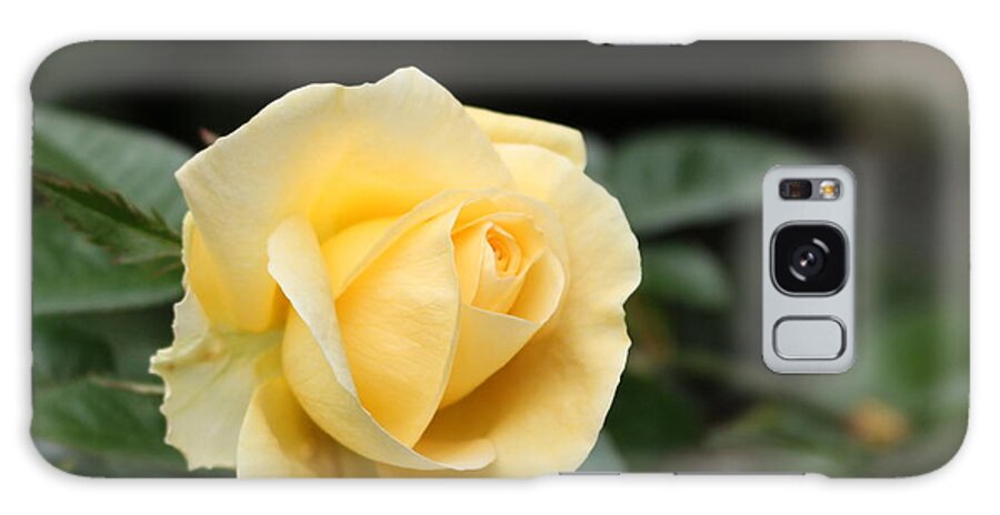 Rose Galaxy Case featuring the digital art Forever Friends by Linda Ritlinger