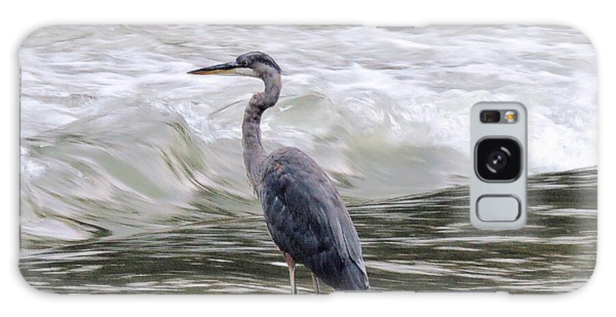 Great Blue Heron Galaxy S8 Case featuring the photograph Forget Me Never by Tami Quigley
