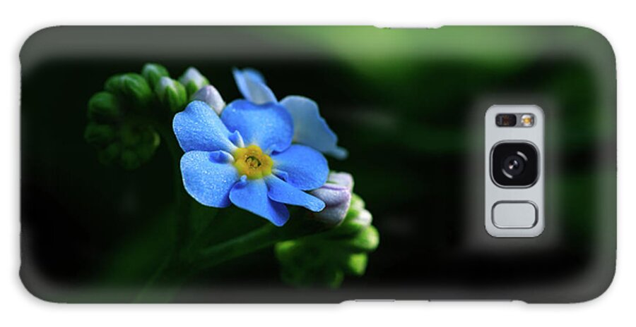 Forget-me-not Galaxy Case featuring the photograph Forget-me-not by Rob Davies