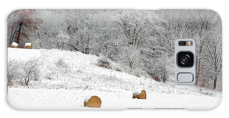 Bales Galaxy Case featuring the photograph Forgotten Bales by Todd Klassy