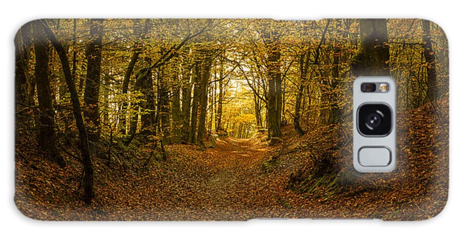 Autumn Galaxy Case featuring the photograph Forrest in Fall by Mike Santis