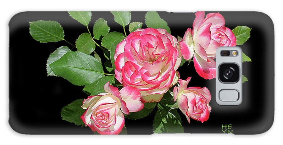 Cutout Galaxy Case featuring the photograph Four Roses Cutout by Shirley Heyn