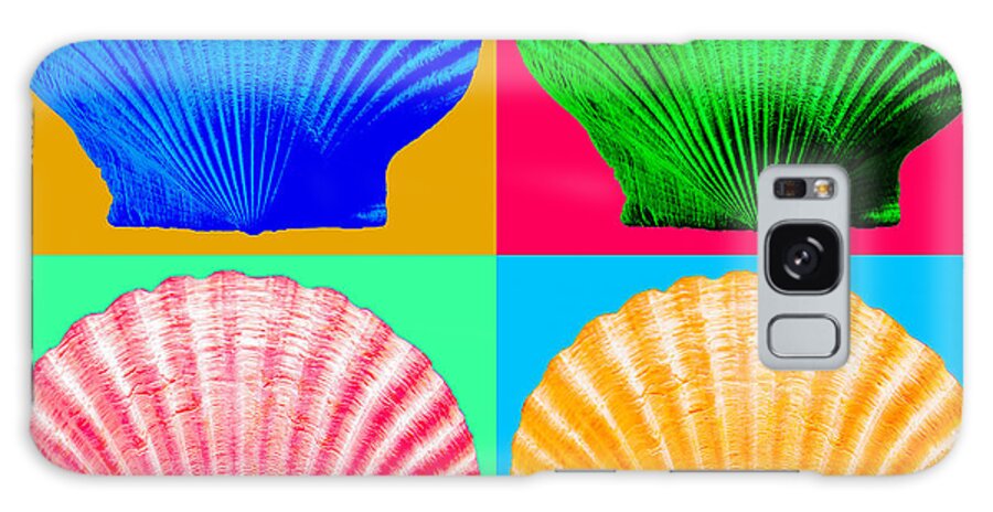 Sea Galaxy Case featuring the photograph Four Sea Shells by WAZgriffin Digital