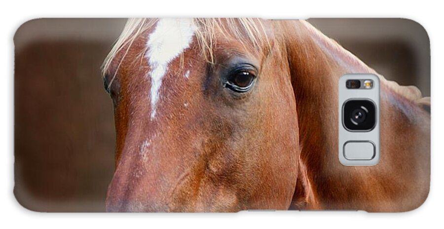 Horse Galaxy Case featuring the photograph Fox - Quarter Horse by Sandy Keeton