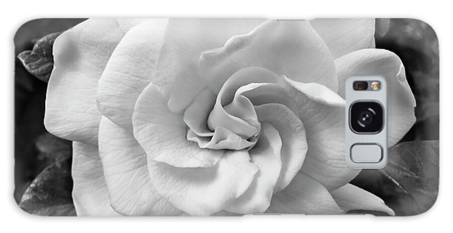 Black And White Smart Phone Photograph Galaxy Case featuring the photograph Fragility by Jill Love