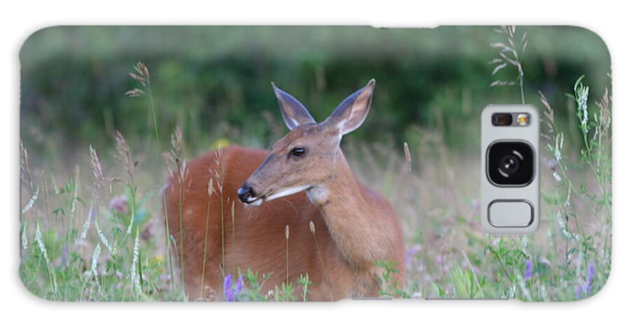 Deer Galaxy S8 Case featuring the photograph Framed by flowers by David Barker