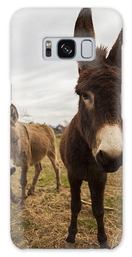 Donkeys Galaxy Case featuring the photograph Friends by Amber Kresge