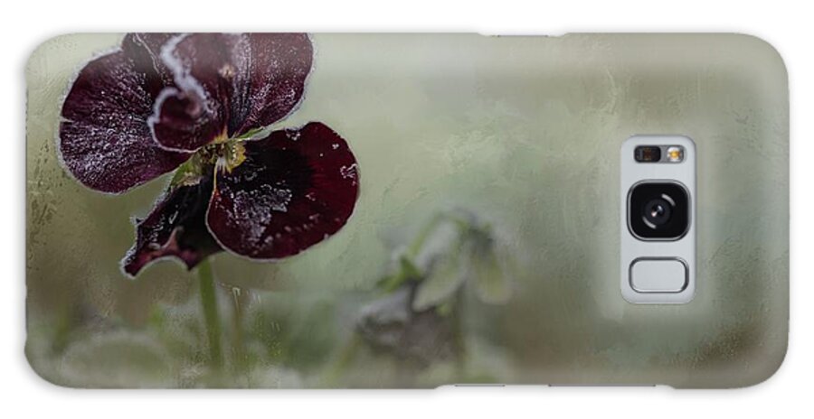 Pansy Galaxy Case featuring the photograph Frosted Beauty by Eva Lechner