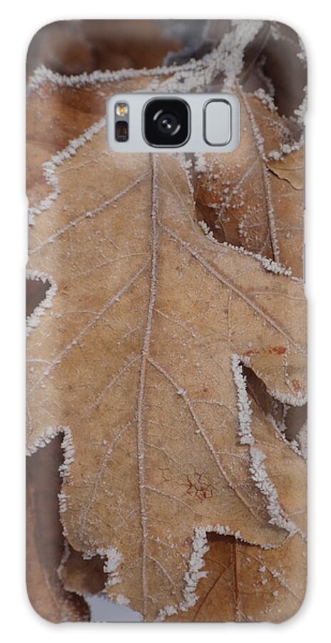 Frost Galaxy Case featuring the photograph Frosted Oak by Brooke Bowdren