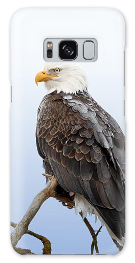 Eagle Galaxy Case featuring the photograph Frosty the Eagle by Beve Brown-Clark Photography