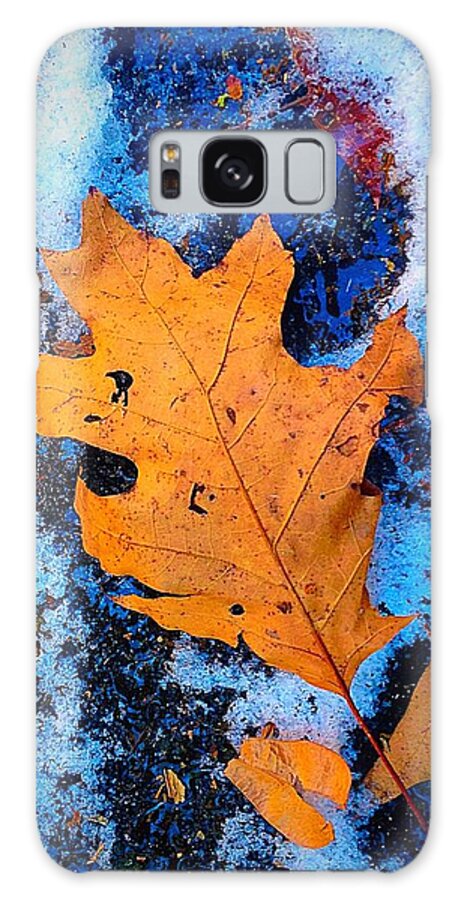 Frozen Galaxy Case featuring the photograph Frozen Leaf by Ydania Ogando