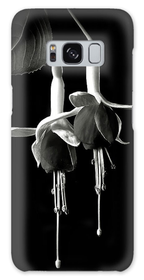 Flower Galaxy Case featuring the photograph Fuchsias in Black and White by Endre Balogh