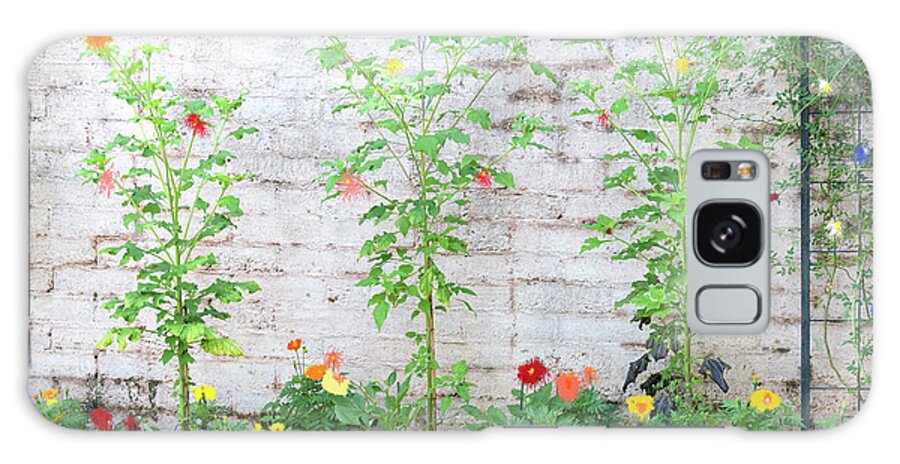 Garden Florals Greens Trees Galaxy Case featuring the photograph Garden florals by Carolyn D'Alessandro