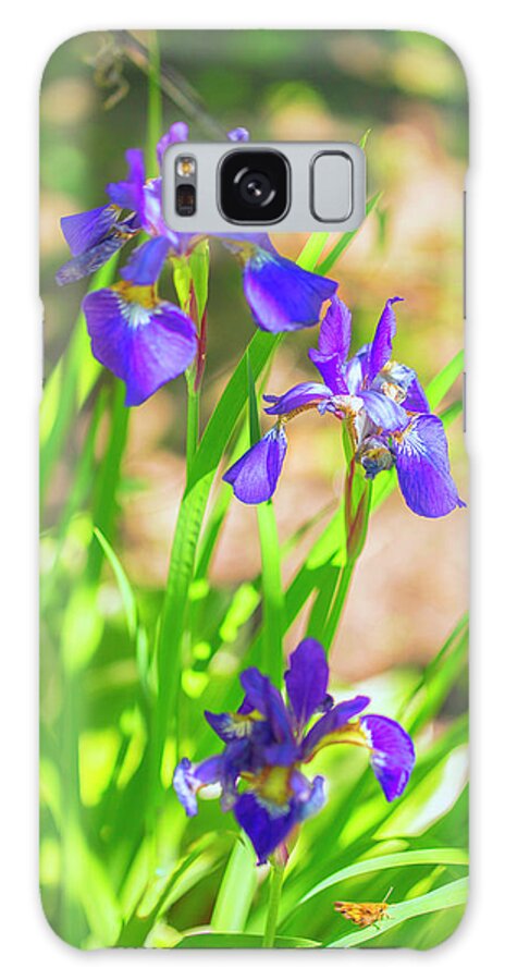 Iris Galaxy Case featuring the photograph Garden Iris by Nancy Dunivin