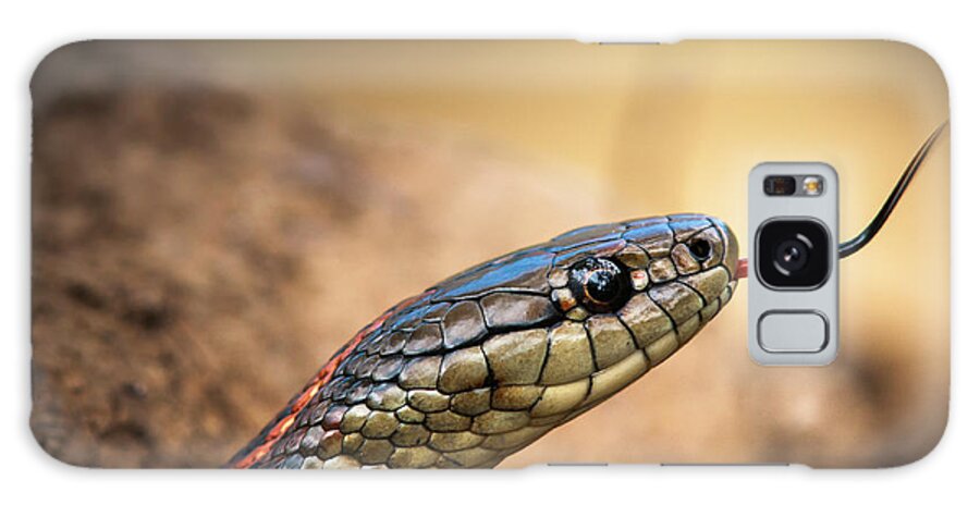 Animals Galaxy Case featuring the photograph Garter Snake and Tongue by Robert Potts