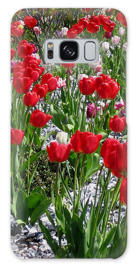 Tulip Galaxy Case featuring the photograph Gathering of Joy by Rory Siegel