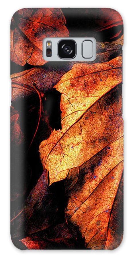 Autumn Galaxy Case featuring the photograph Gentle Autumn by Bob Orsillo