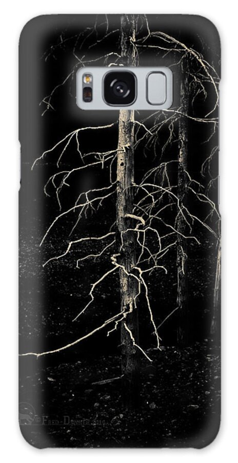 Trees Galaxy Case featuring the photograph Ghost Trees by Fred Denner