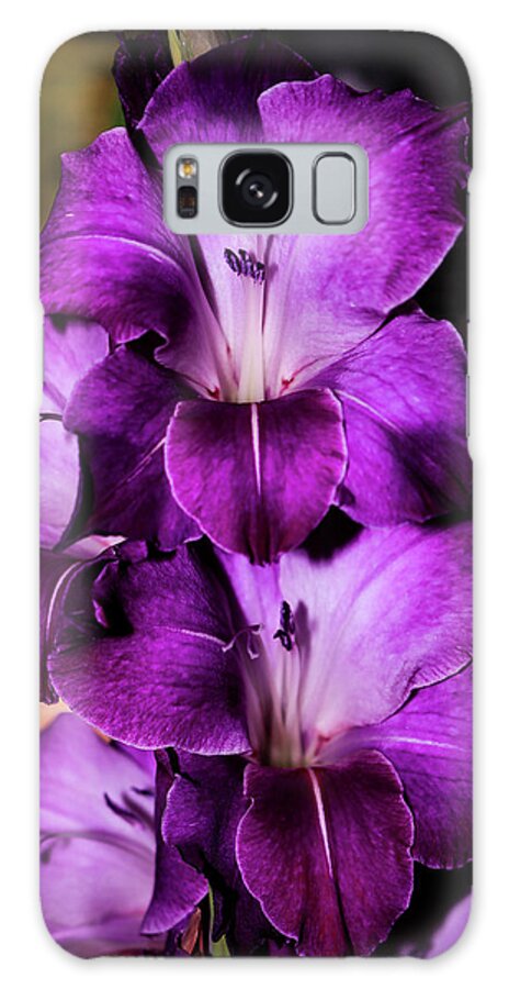  Galaxy Case featuring the photograph Gladiolous by Dr Janine Williams