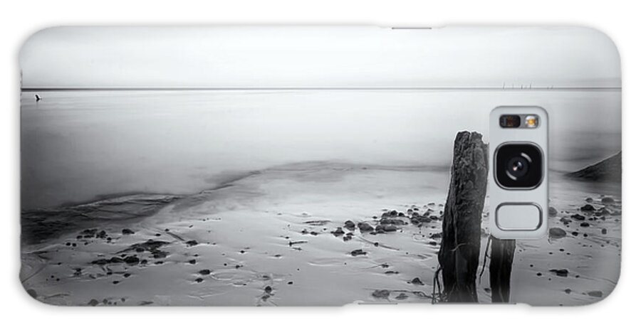 Landscape Galaxy Case featuring the photograph Glassy Horizon by Travis Rogers