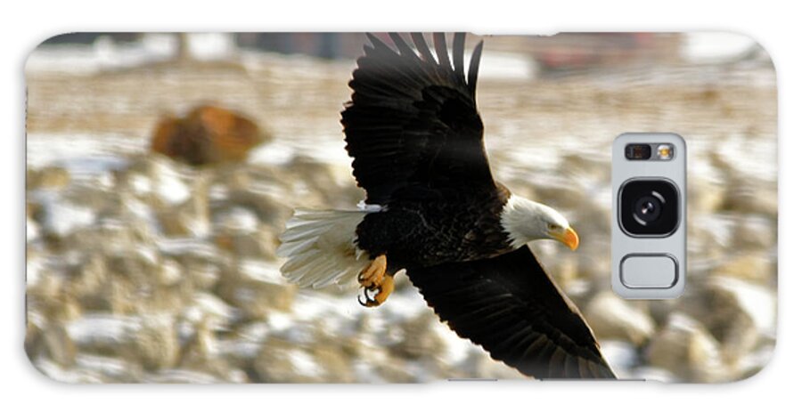 Bald Eagle Galaxy Case featuring the photograph Gliding by Peter Ponzio
