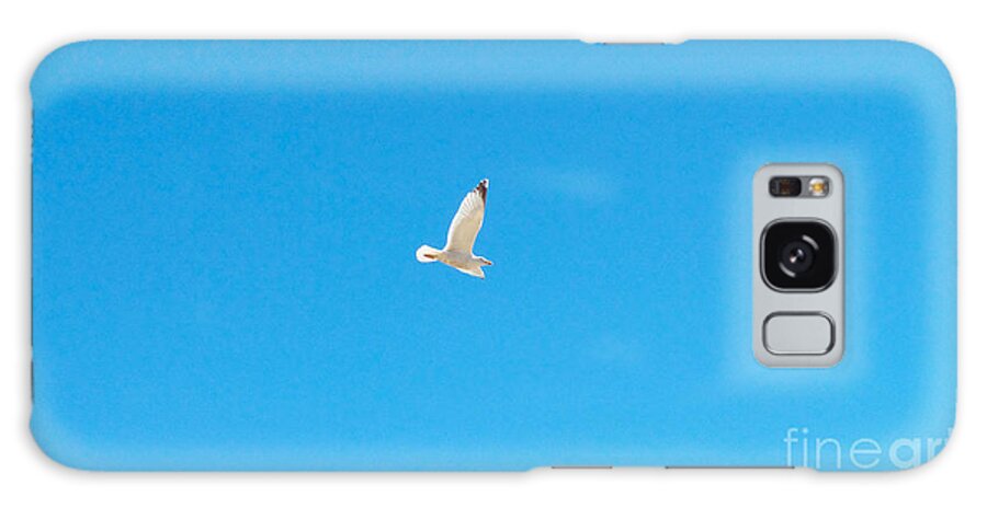 Photography Galaxy Case featuring the photograph Gliding Seagull by Francesca Mackenney