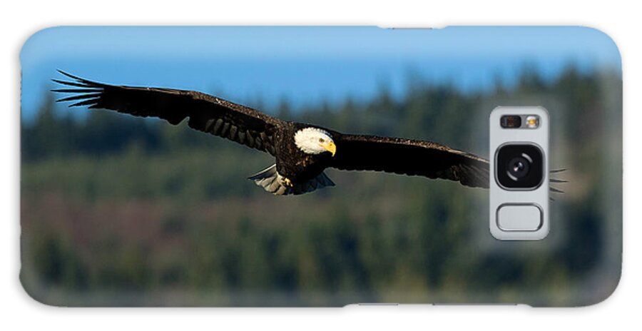 Eagle Galaxy Case featuring the photograph Glory by Shari Sommerfeld