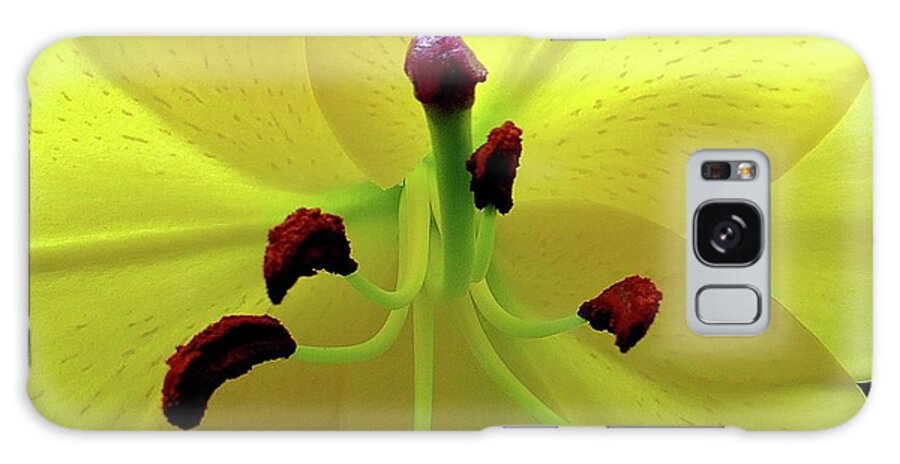 Flower Galaxy Case featuring the photograph Glowing Lily by Linda Stern