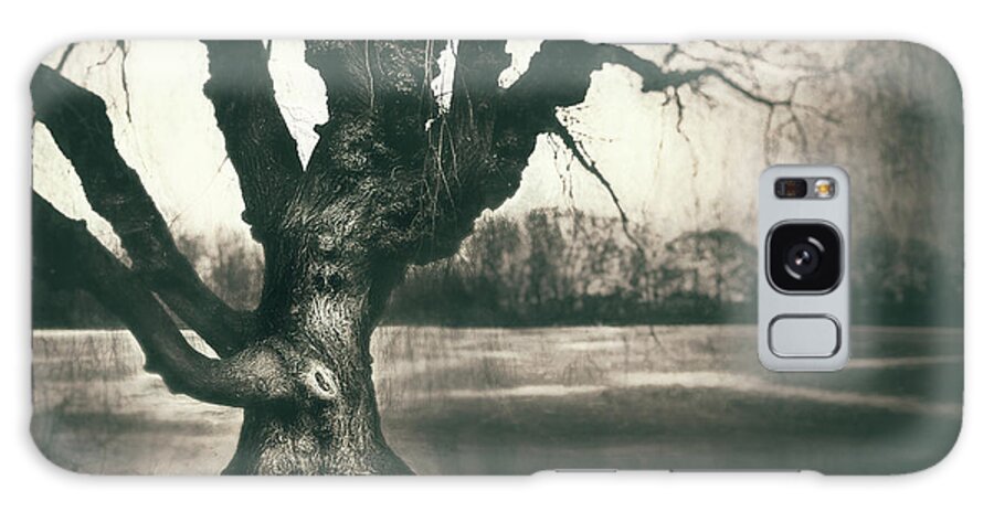 Gnarled Galaxy Case featuring the photograph Gnarled Old Tree by Scott Norris