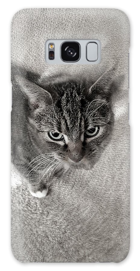 Kitty Galaxy Case featuring the photograph Go Tikki by Pedro Fernandez