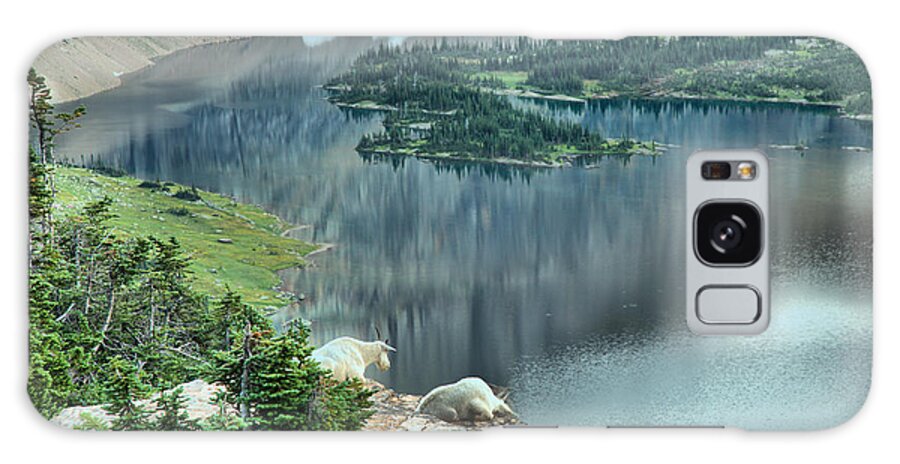 Hidden Lake Galaxy Case featuring the photograph Goats Overlooking Hidden Lake by Adam Jewell