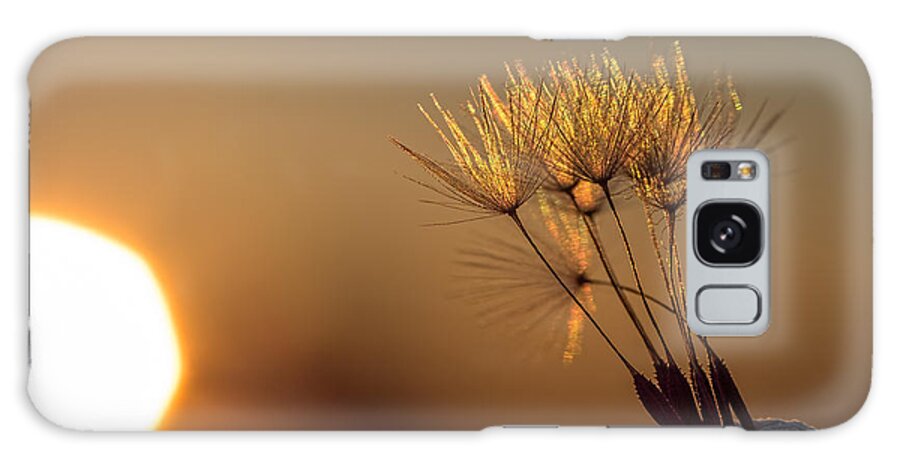 Dandelion Galaxy Case featuring the photograph Golden by Brad Boland