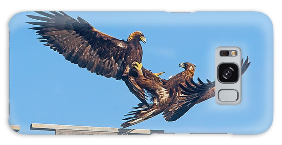 Mark Miller Photos Galaxy S8 Case featuring the photograph Golden Eagle Courtship by Mark Miller