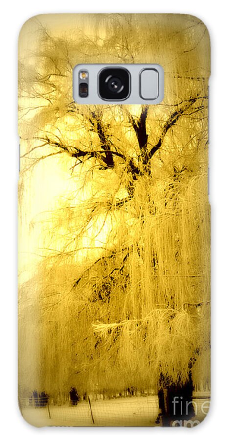 Winter Galaxy Case featuring the photograph Golden by Julie Lueders 