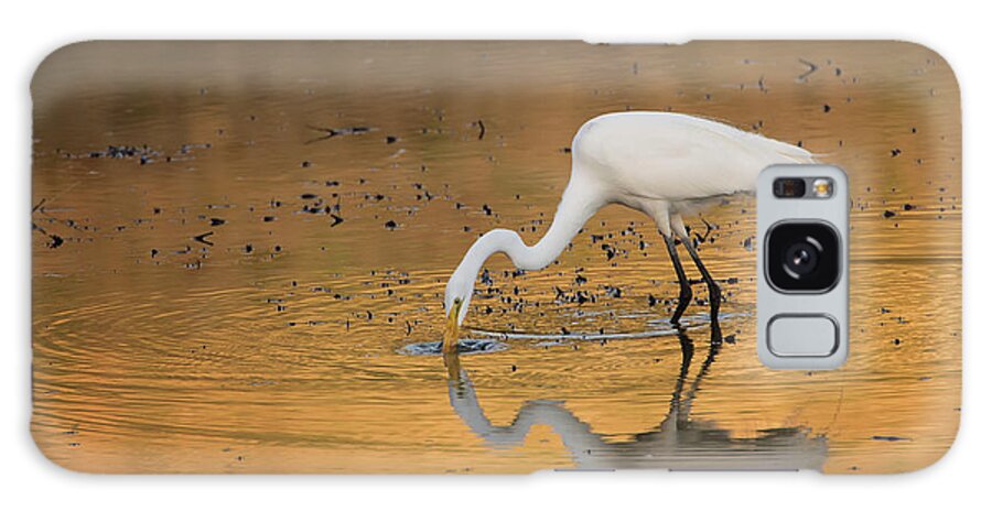 Egret Galaxy S8 Case featuring the photograph Golden Pond by Eilish Palmer