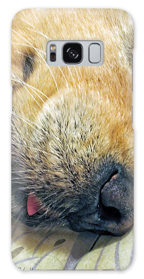 Golden Retriever Galaxy Case featuring the photograph Golden Retriever Dog Little Tongue by Jennie Marie Schell