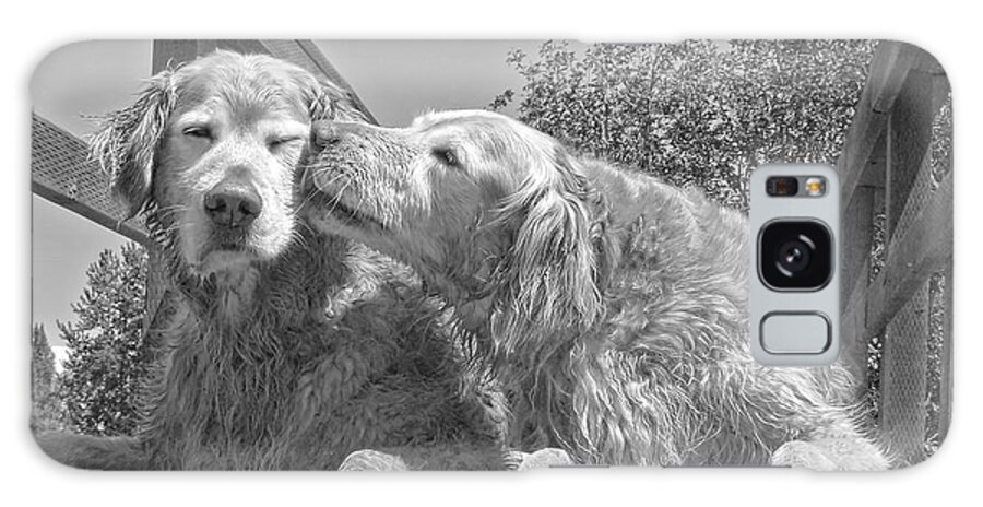 Golden Retriever Galaxy Case featuring the photograph Golden Retrievers the Kiss Black and White by Jennie Marie Schell