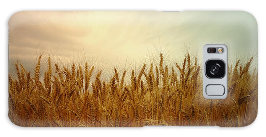 Wheat Galaxy Case featuring the photograph Golden Wheat by Kae Cheatham