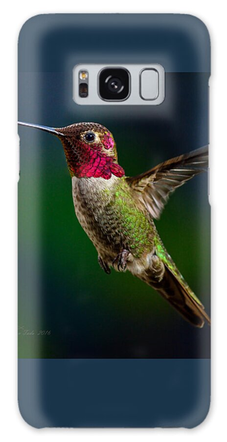 Bird Galaxy Case featuring the photograph Good Friday Visitor by Brian Tada