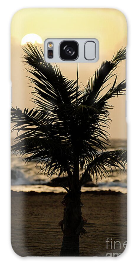 St Kitts Galaxy S8 Case featuring the photograph Good Morning by Ed Taylor