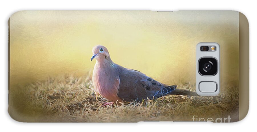 Bird Galaxy S8 Case featuring the mixed media Good Mourning Dove by Sharon McConnell