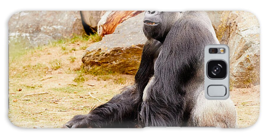 Gorilla Galaxy Case featuring the photograph Gorilla sitting upright by Nick Biemans