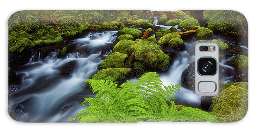 Ferns Galaxy Case featuring the photograph Gorton Creek Fern by Darren White