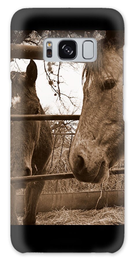 Horses Galaxy S8 Case featuring the photograph Gossip at the Fence by Karen Musick