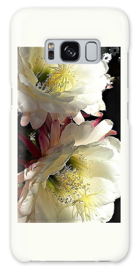 Cactus Galaxy Case featuring the photograph Got It Made In The Shade by John Glass