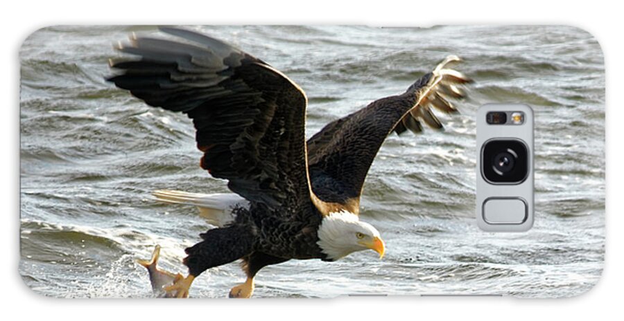 Bald Eagle Galaxy Case featuring the photograph Gotcha by Peter Ponzio