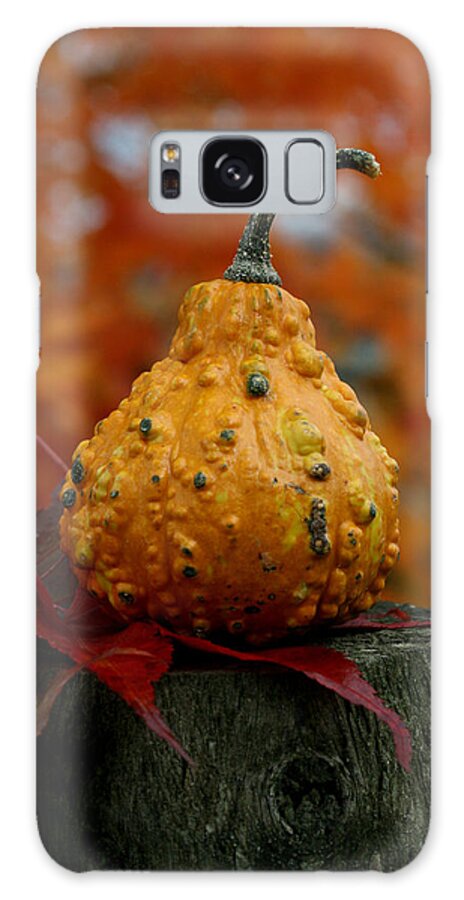 Gourd Galaxy Case featuring the photograph Gourd on a Stump by Tammy Pool