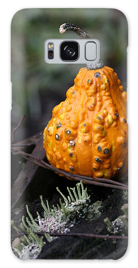 Gourd Galaxy S8 Case featuring the photograph Gourd with Pixie Cup Lichen by Tammy Pool