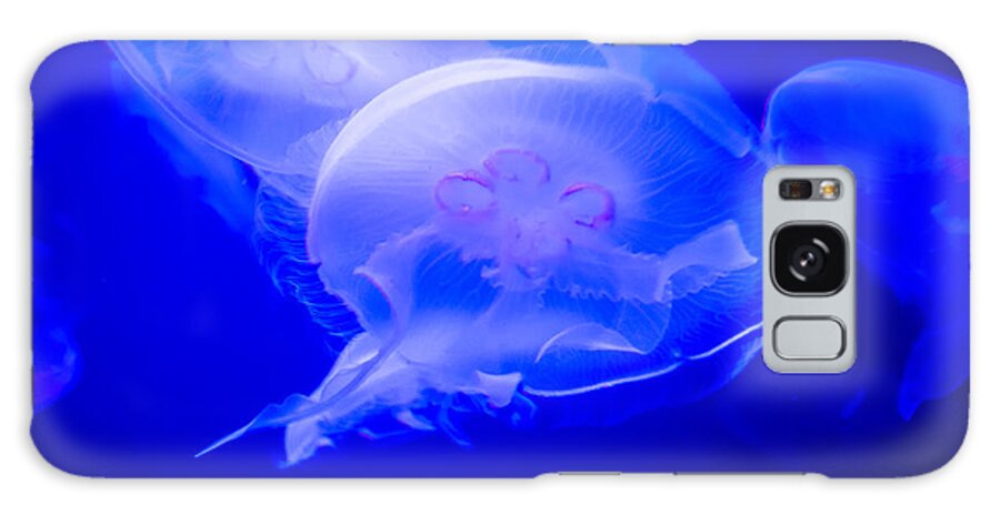 Jellyfish Galaxy Case featuring the photograph Graceful by Frank Mari